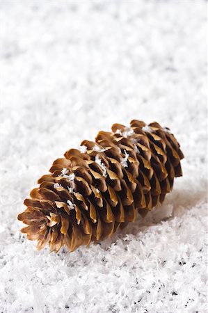 snow cone - Cône de pin sur la neige. Photographie de stock - Aubaine LD & Abonnement, Code: 400-06391332