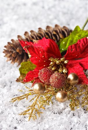 simsearch:400-04723812,k - Christmas composition with pine cone on the snow. Stock Photo - Budget Royalty-Free & Subscription, Code: 400-06391333