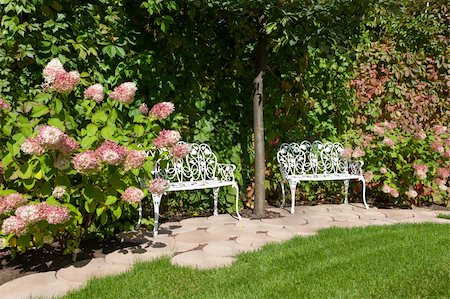 flowers on white stone - White benches in a summer garden Stock Photo - Budget Royalty-Free & Subscription, Code: 400-06391537