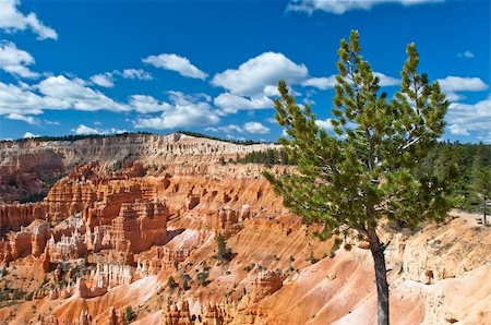 magnificent landscape of Bryce Canyon, National Park, Utah, USA Stock Photo - Budget Royalty-Free & Subscription, Code: 400-06391555