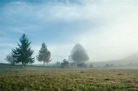 simsearch:400-07255480,k - An image of a nice misty scenery Stock Photo - Budget Royalty-Free & Subscription, Code: 400-06392143