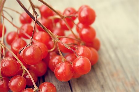 Red berries on a wooden surface Stock Photo - Budget Royalty-Free & Subscription, Code: 400-06392955