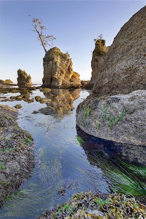 parc provincial garibaldi - Porcs et truies Inlet Rock dans la baie de Tillamook Garibaldi Oregon côte à marée basse verticale Photographie de stock - Aubaine LD & Abonnement, Code: 400-06393064