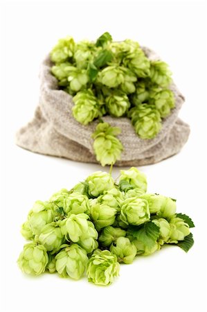 Hop cones closeup on a white background. Stock Photo - Budget Royalty-Free & Subscription, Code: 400-06393330