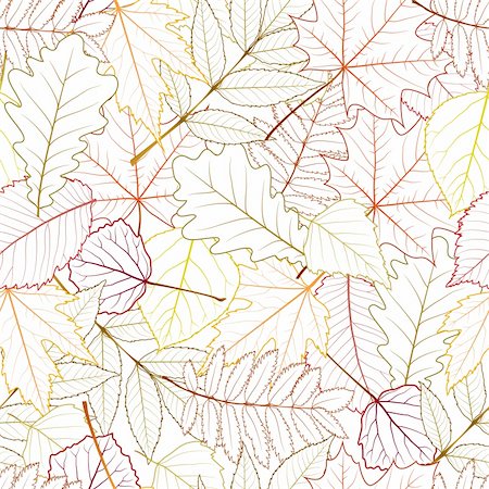 seamless with autumn leaves on white background. vector illustration Stock Photo - Budget Royalty-Free & Subscription, Code: 400-06393346