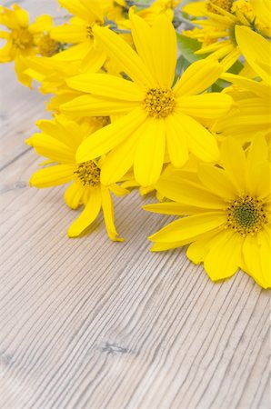 Wild Yellow Daisy Flowers on Wooden Table Stock Photo - Budget Royalty-Free & Subscription, Code: 400-06393526