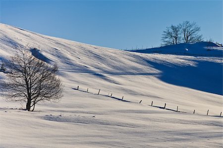 porojnicu (artist) - a beautiful rural landscape in the winter Stock Photo - Budget Royalty-Free & Subscription, Code: 400-06393736