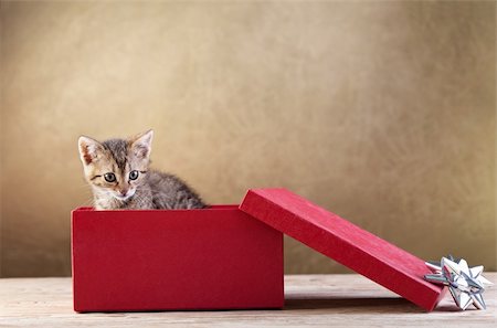 Un chaton pour cadeau - young cat peeking out d'une boîte-cadeau, copie espace Photographie de stock - Aubaine LD & Abonnement, Code: 400-06408518