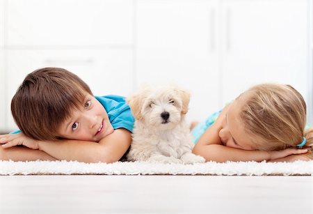 simsearch:400-07168060,k - Kids at home with their new pet - a fluffy white dog Stock Photo - Budget Royalty-Free & Subscription, Code: 400-06408535