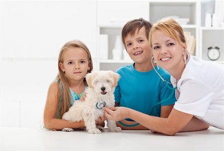 Kids taking their fluffy pet to the veterinary doctor for a checkup - copyspace Stock Photo - Budget Royalty-Free & Subscription, Code: 400-06408538