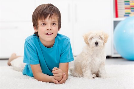 small cute dogs breeds - Young boy and his well behaved doggy together indoors Stock Photo - Budget Royalty-Free & Subscription, Code: 400-06408533