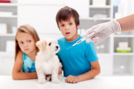 Vaccination for pets - worried kids with their dog at the veterinary doctor Stock Photo - Budget Royalty-Free & Subscription, Code: 400-06408540