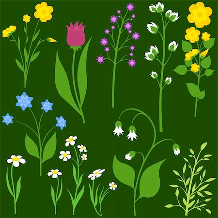 Flowers - Different Colored Illustrations, Vector Stock Photo - Budget Royalty-Free & Subscription, Code: 400-06408962