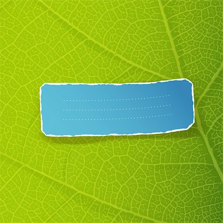 Green leaf texture and torn label with space for text. EPS10 Stock Photo - Budget Royalty-Free & Subscription, Code: 400-06409108