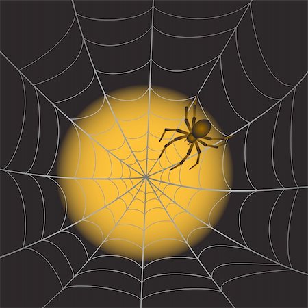 simsearch:400-08200203,k - A Spider Web with Spider on moonlight background. Vector Illustration Stock Photo - Budget Royalty-Free & Subscription, Code: 400-06414369