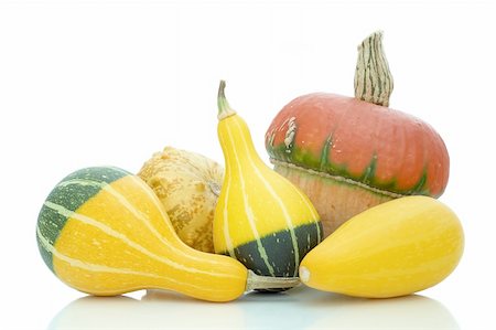 simsearch:400-07089027,k - a group of different types of pumpkins on a white background Stock Photo - Budget Royalty-Free & Subscription, Code: 400-06415463