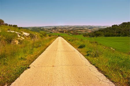 simsearch:400-06694787,k - Route asphaltée entre champs verts en Israël, coucher de soleil Photographie de stock - Aubaine LD & Abonnement, Code: 400-06415579
