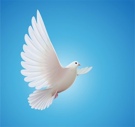 Illustration vectorielle de beau brillant colombe blanche volant de manière vers le haut dans un ciel bleu Photographie de stock - Aubaine LD & Abonnement, Code: 400-06415572