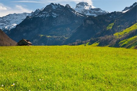 simsearch:400-04887016,k - Verts pâturages autour de la maison de ferme en Suisse Photographie de stock - Aubaine LD & Abonnement, Code: 400-06415588