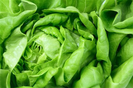 design56 (artist) - Fresh Green Salad Lettuce Leaves Background Stock Photo - Budget Royalty-Free & Subscription, Code: 400-06416035