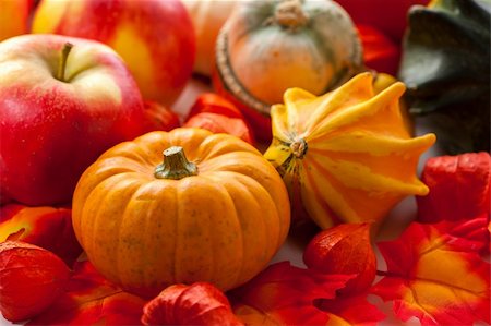 simsearch:400-05674539,k - Traditional pumpkins for Halloween in warm colors Stock Photo - Budget Royalty-Free & Subscription, Code: 400-06416345