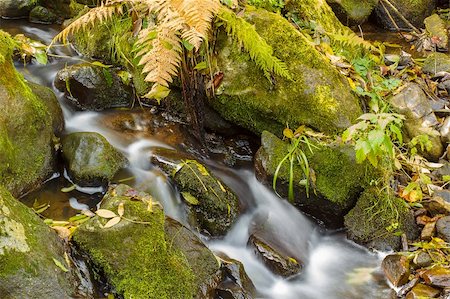 simsearch:400-05059020,k - Falls on the small mountain river in a wood shooted in autumn Stock Photo - Budget Royalty-Free & Subscription, Code: 400-06418406