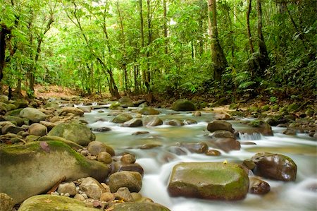 simsearch:400-06426120,k - chute d'eau verte naturelle Photographie de stock - Aubaine LD & Abonnement, Code: 400-06410664