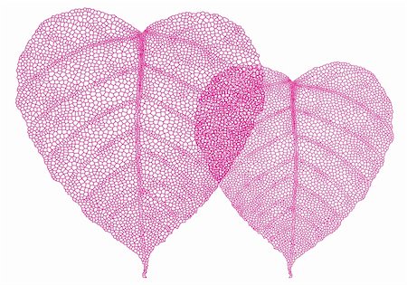 heart shaped red skeleton leaves, vector background illustration Stock Photo - Budget Royalty-Free & Subscription, Code: 400-06410997