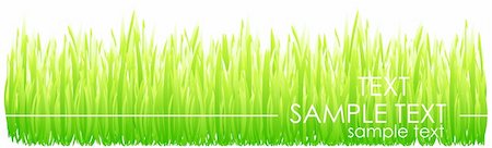 simsearch:400-04322702,k - Nature vector background. Fresh green grass Foto de stock - Super Valor sin royalties y Suscripción, Código: 400-06412527