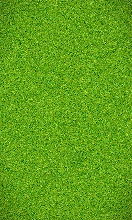 Beautiful green grass texture for football field Stock Photo - Budget Royalty-Free & Subscription, Code: 400-06413220