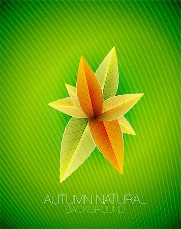 Vector autumn seasonal nature background with leaves Stock Photo - Budget Royalty-Free & Subscription, Code: 400-06413956