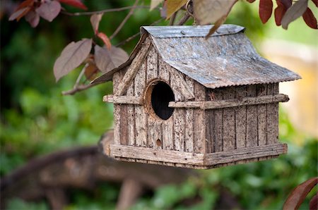 simsearch:400-06520273,k - Small wooden bird house with iron roof hanging in cherry tree Stock Photo - Budget Royalty-Free & Subscription, Code: 400-06424359