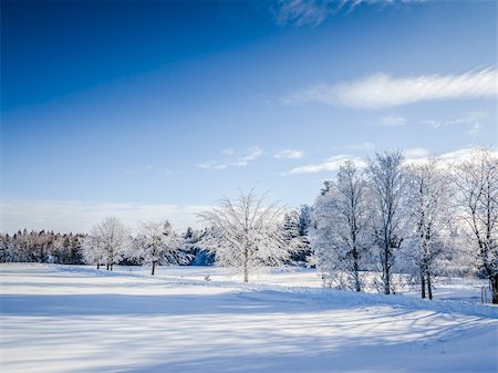 Une image d'un paysage d'hiver agréable Photographie de stock - Aubaine LD & Abonnement, Code: 400-06424604