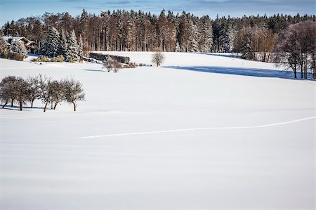 Une image d'un paysage d'hiver agréable Photographie de stock - Aubaine LD & Abonnement, Code: 400-06424603
