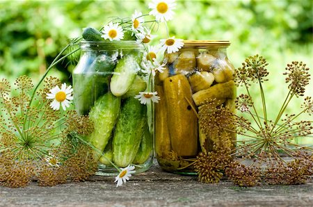 pickling gherkin - Canning cucumbers at home Stock Photo - Budget Royalty-Free & Subscription, Code: 400-06425139