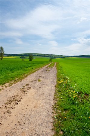 simsearch:400-06415579,k - Pasture in Southern Bavaria, Germany Stock Photo - Budget Royalty-Free & Subscription, Code: 400-06425592