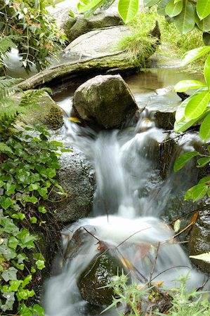 simsearch:400-06426120,k - Chute d'eau dans la forêt tropicale avec longue exposition Photographie de stock - Aubaine LD & Abonnement, Code: 400-06426120