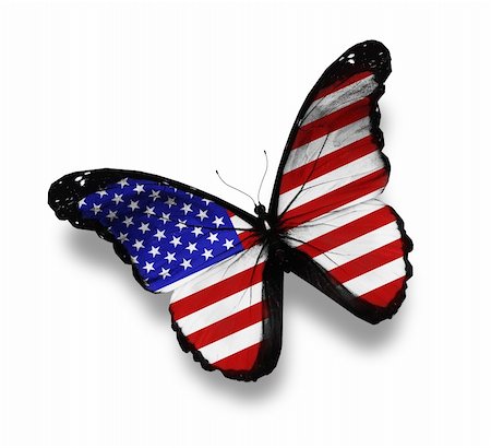 American flag butterfly, isolated on white Stock Photo - Budget Royalty-Free & Subscription, Code: 400-06426435