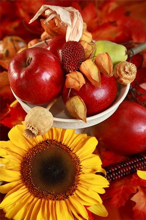 simsearch:400-05674539,k - Fresh apples and sunflower on the autumn table Stock Photo - Budget Royalty-Free & Subscription, Code: 400-06427285