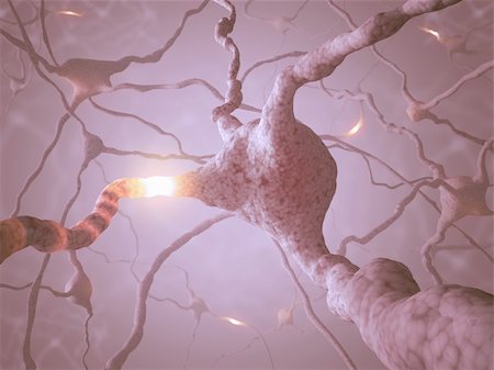 Inside the brain. Concept of neurons and nervous system. Foto de stock - Royalty-Free Super Valor e Assinatura, Número: 400-06428465