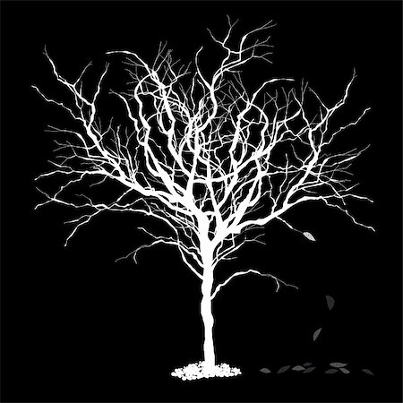 death vector - Tree silhouettewith fallen leaves. Vector illustration, EPS8. Stock Photo - Budget Royalty-Free & Subscription, Code: 400-06428780