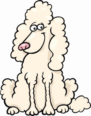 simsearch:400-06429559,k - Illustration dessin animé drôle Caniche blanc pure race Photographie de stock - Aubaine LD & Abonnement, Code: 400-06429557