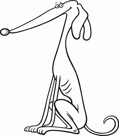 Cartoon Illustration of Funny Purebred Greyhound Dog for Coloring Book Stock Photo - Budget Royalty-Free & Subscription, Code: 400-06429550