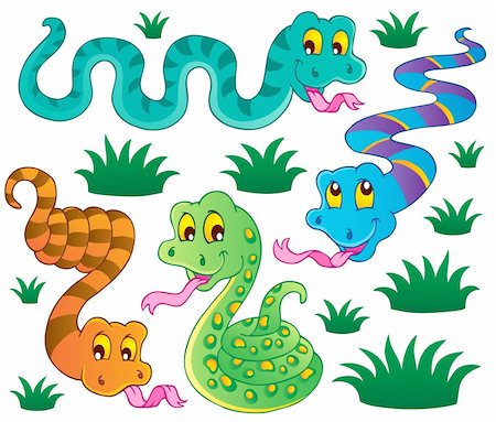 Various snakes theme collection 1 - vector illustration. Stock Photo - Budget Royalty-Free & Subscription, Code: 400-06429756