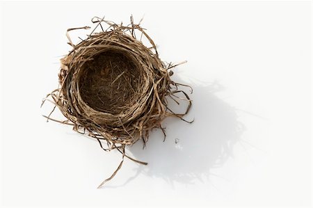 empty birds nest - Empty bird nest on white background Stock Photo - Budget Royalty-Free & Subscription, Code: 400-06420347