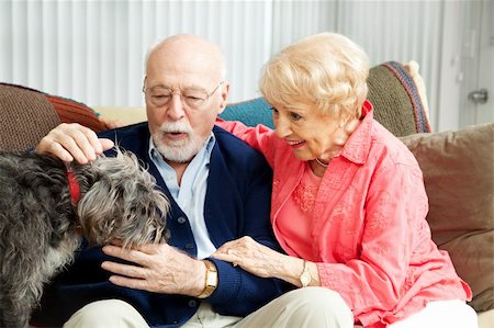 Senior couple at home with their adorable scruffy little dog. Stock Photo - Budget Royalty-Free & Subscription, Code: 400-06420504