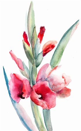 Beautiful Gladiolus flowers, Watercolor painting Foto de stock - Royalty-Free Super Valor e Assinatura, Número: 400-06420605