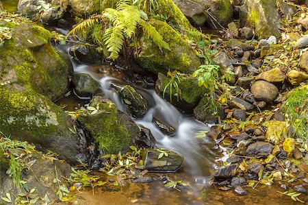 simsearch:400-05059020,k - Falls on the small mountain river in a wood shooted in autumn Stock Photo - Budget Royalty-Free & Subscription, Code: 400-06420676