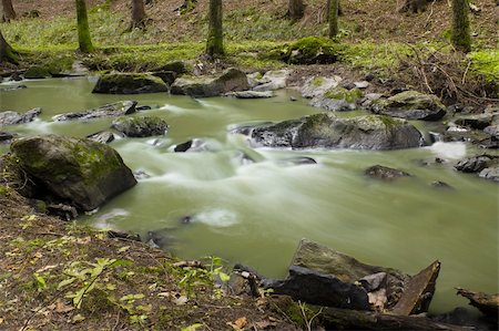 rivers through forests - autumn mountain stream in a green forest Stock Photo - Budget Royalty-Free & Subscription, Code: 400-06420677