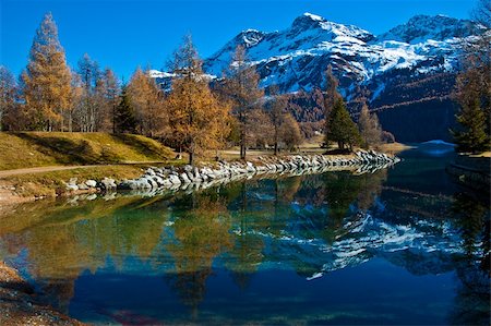Autumn reflections on the lake Silvaplana Stock Photo - Budget Royalty-Free & Subscription, Code: 400-06421429